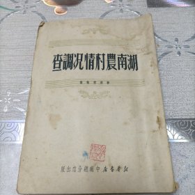 湖南农村情况调查