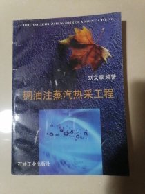 稠油注蒸汽热采工程 （书前后皮及书边角略有磨损和少量污渍。内页干净，无写字和勾划）