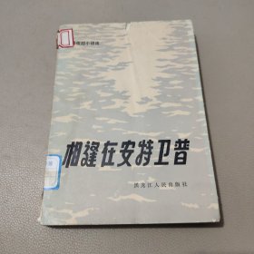 相逢在安特卫普 馆藏书