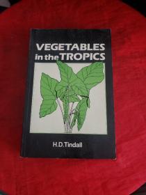 VEGETABLES in the TROPICS 书内有铅笔字迹划线