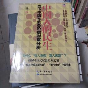 中国人的民生：当下中国社会各阶层财富分析