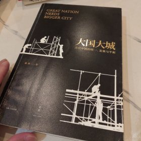 大国大城：当代中国的统一、发展与平衡