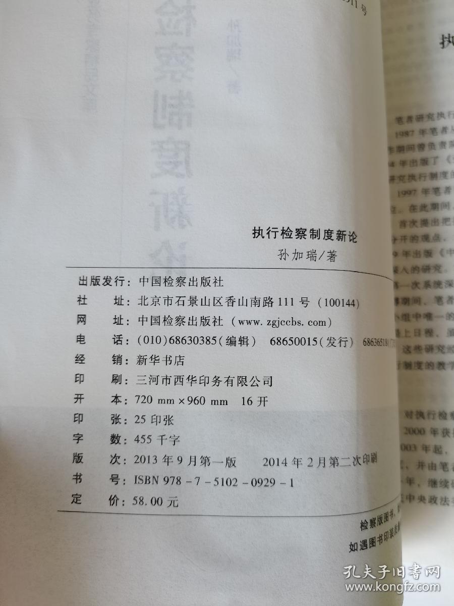 全国检察业务专家精品文库：执行检察制度新论 无使用