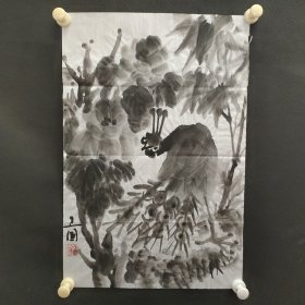 122e02：著名画家、花鸟师承李苦禅大师、中国美术家协会北京分会会员—钱卫国 花鸟国画作品一幅 ，纸本软片，尺寸约1.3平尺！