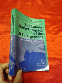 The Labour Market Impact of the EU Enlargement: A New Regional Geography of Europe?     （小16开 ） 【详见图】