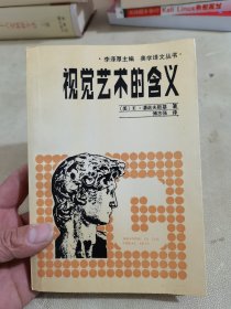 视觉艺术的含义(美学译文丛书)