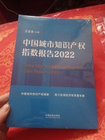 中国城市知识产权指数报告（2022）