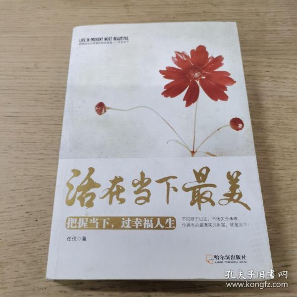 活在当下最美：把握当下，过幸福人生