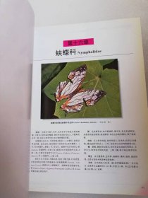 中国蝶类志 修订版 上下册