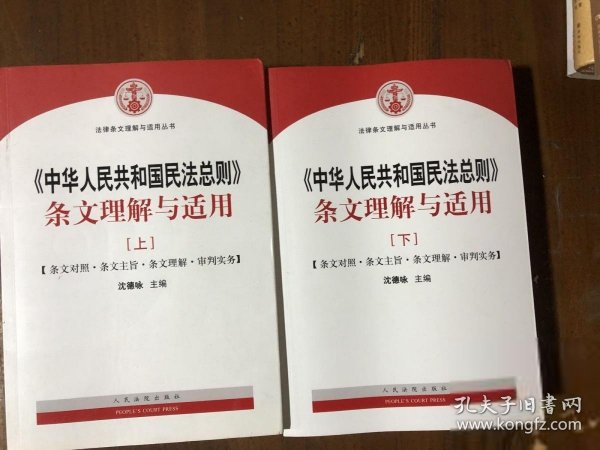 中华人民共和国民法总则 条文理解与适用（套装上下册）