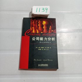 公司能力分析