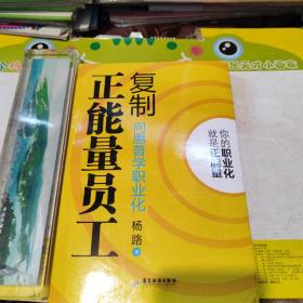 复制正能量员工：向惠普学职业化