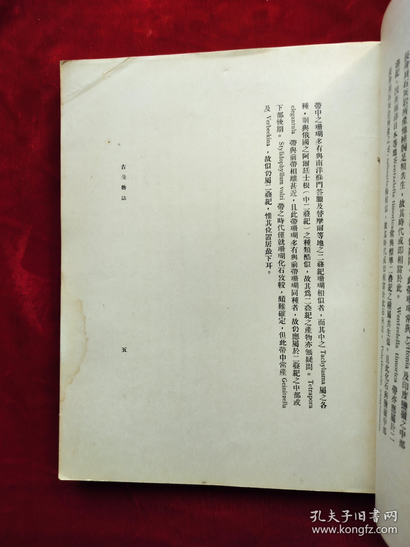 民国21年国立北平研究院<中国南部二叠纪珊瑚化石>道林纸印、中文简介、英文，有柯罗版大图16张，净重1公斤，稀见黄汲清院士著作
