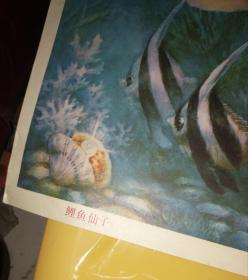 稀见对开年画《鲤鱼仙子》一张全。品佳