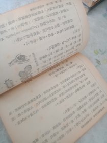 民国旧书 中等农业昆虫学，品如图，请认真看图