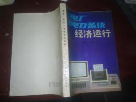 發(fā)電廠及電力系統經濟運行