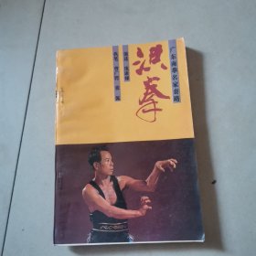 洪拳（广东南拳名家套路）