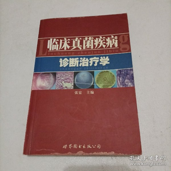 临床真菌病诊断治疗学