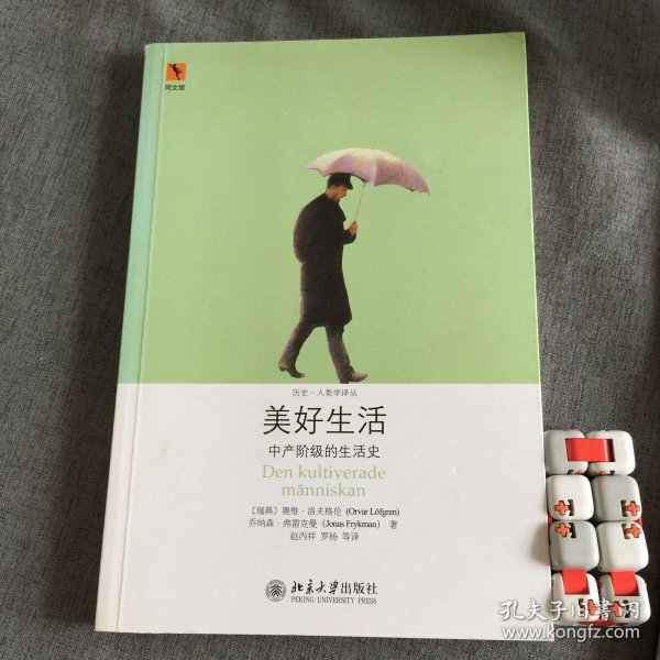 美好生活：中产阶级的生活史