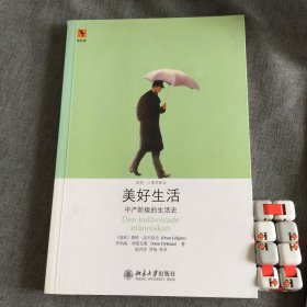 美好生活：中产阶级的生活史