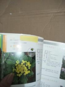 观花植物1000种经典图鉴+观叶观果植物1000种经典图鉴（超值白金版）(共2册合售)