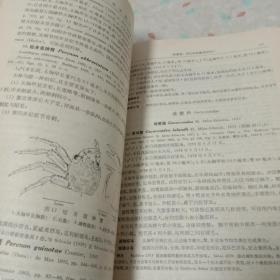 海洋科学集刊，10，西沙群岛海洋生物调查报告专辑之-