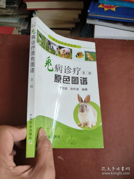 兽医临床诊疗宝典：兔病诊疗原色图谱（第二版）