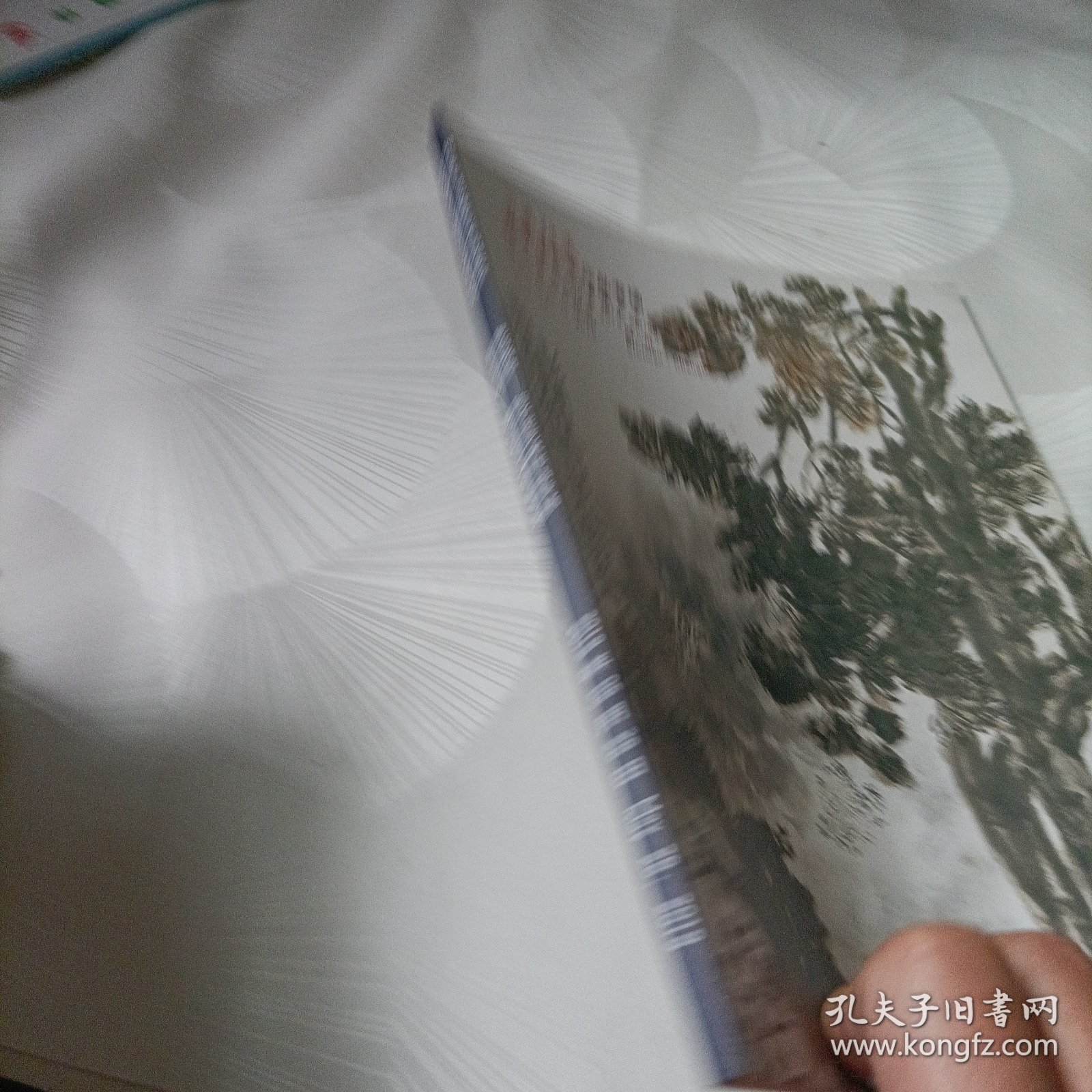 四川重华2019春季艺术品拍卖会:思高格逸——陈子庄艺术作品专场