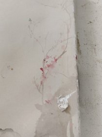 琳琅（书壳有轻微破损）