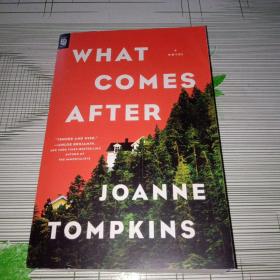 What Comes After:A Novel