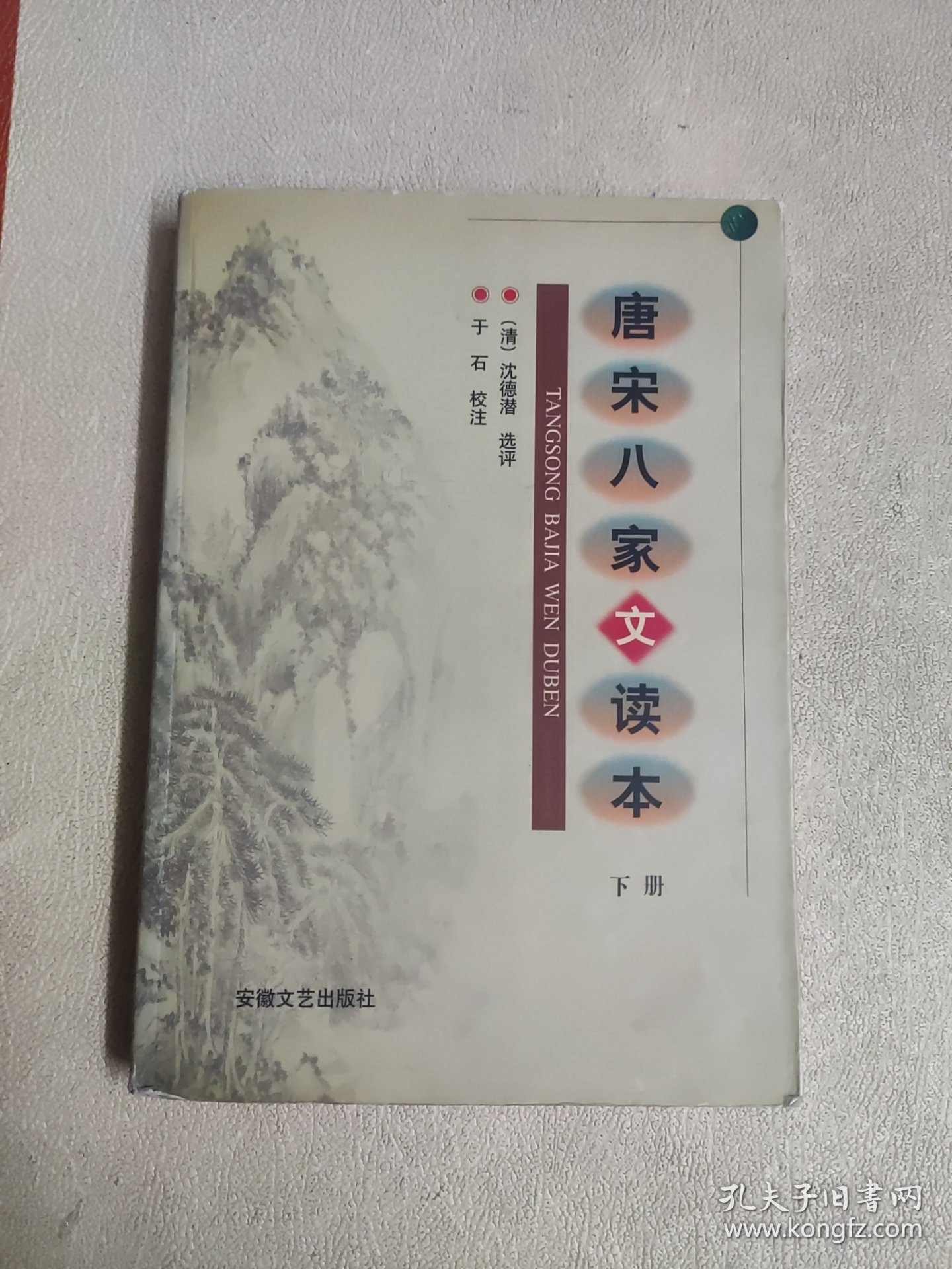 唐宋八家文读本（下册）