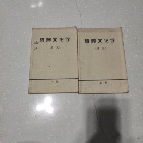 殡葬文化学(讲义)上下