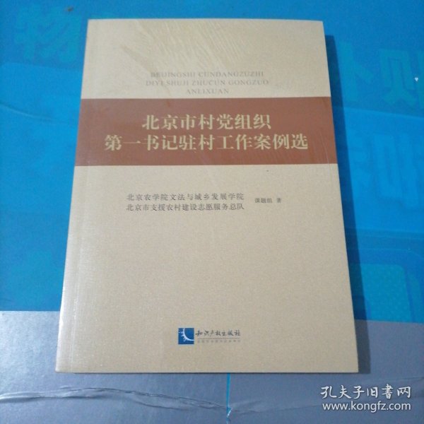 北京市村党组织第一书记驻村工作案例选