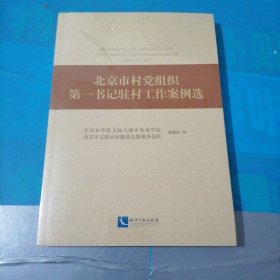 北京市村党组织第一书记驻村工作案例选