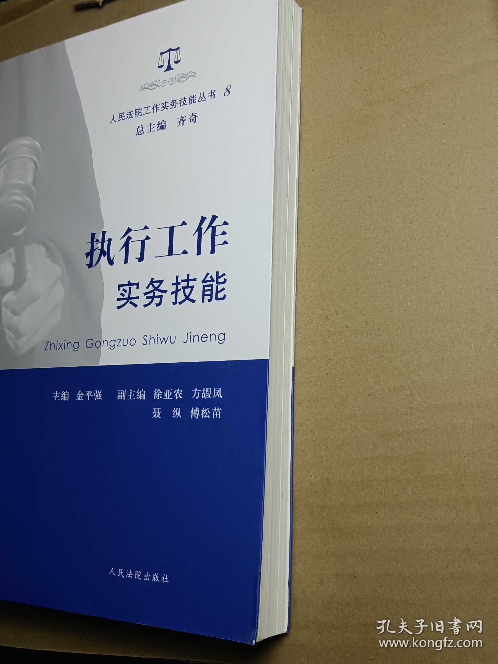 人民法院工作实务技能丛书（8）：执行工作实务技能