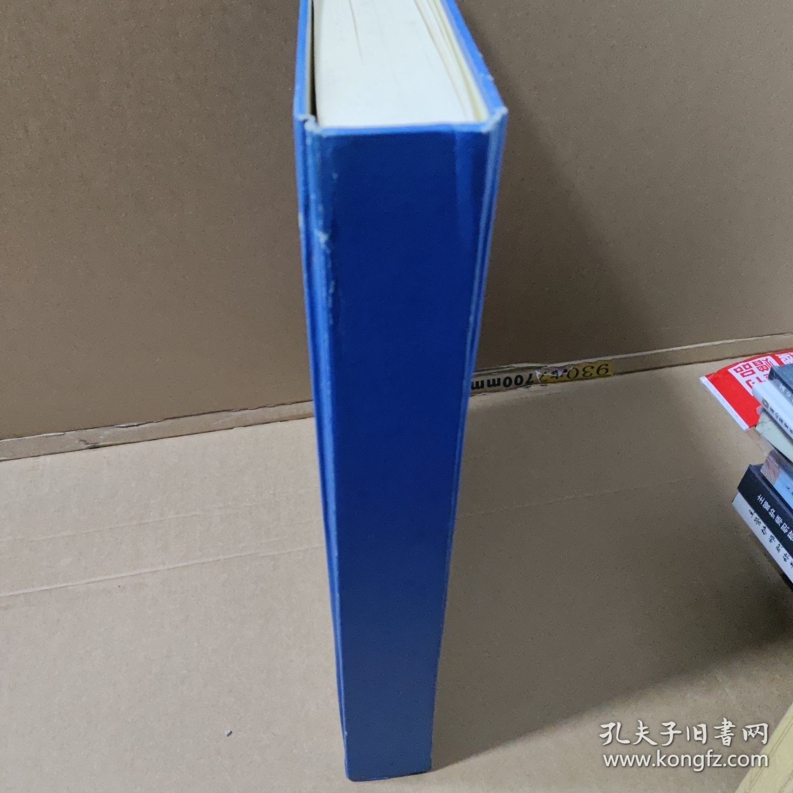 费氏宗谱（国昌公宗支）