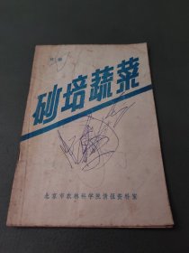 砂培蔬菜