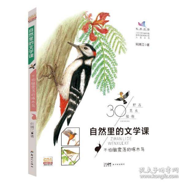 自然里的文学课：不怕脑震荡的啄木鸟