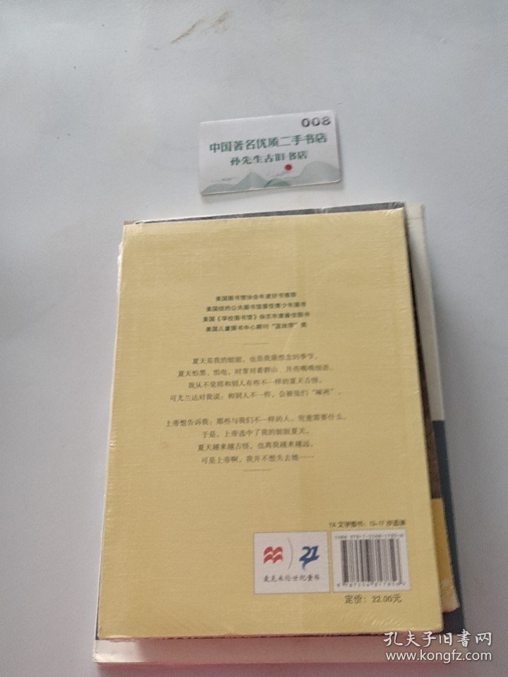 夏天往事 零时差.YA书系 麦克米伦世纪