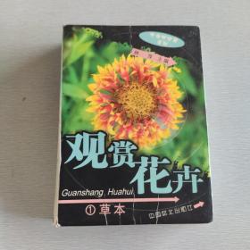 观赏花卉：大自然珍藏系列