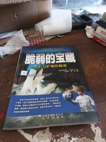 “人与地球的明天”科普书系·脆弱的宝藏：岩石与矿物的秘密