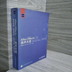 After Effects CS6技术大全