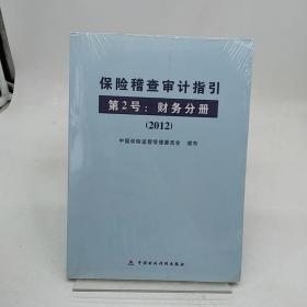 保险稽查审计指引第2号：财务分册