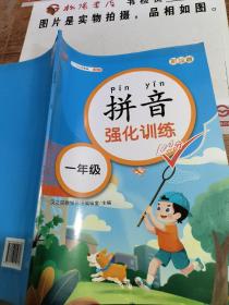 拼音练习册一年级上册拼音强化训练小学一日一练拼音描红声母韵母手册幼小衔接拼音学习教材幼儿园大班学前班升一年级衔接