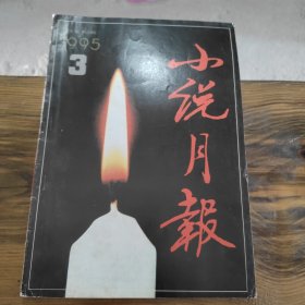 小说月报 1995 3