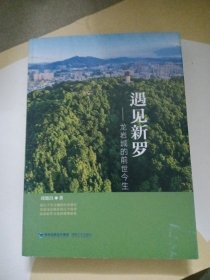 遇见新罗：龙岩城的前世今生