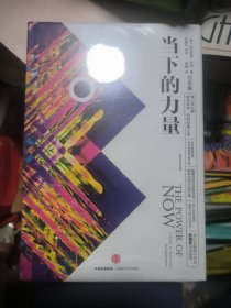 当下的力量 全新未拆封