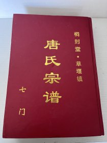 老家谱——江苏盐城建湖草堰镇桐封堂唐氏宗谱七门，一世质甫七世宗盛