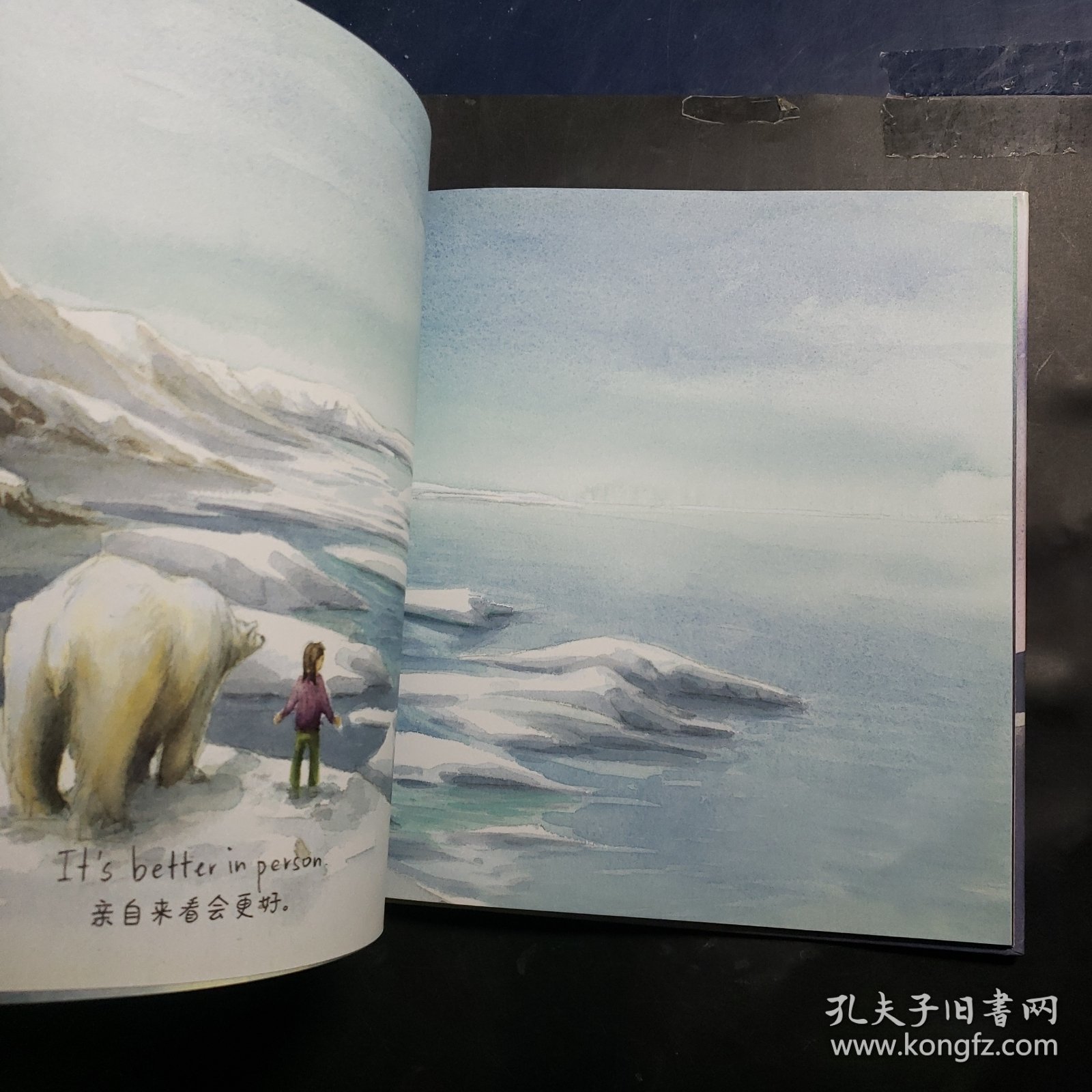 海豚双语绘本馆：北极熊报告（精）