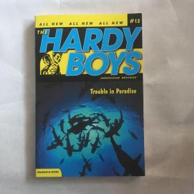 Hardy Boys #12 Trouble in Paradise 哈迪男孩12：失踪案